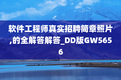 软件工程师真实招聘简章照片,的全解答解答_DD版GW5656