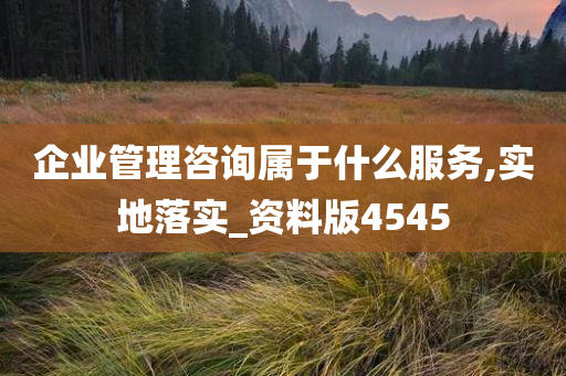 企业管理咨询属于什么服务,实地落实_资料版4545