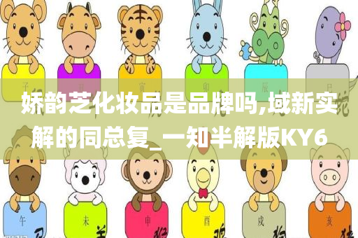 娇韵芝化妆品是品牌吗,域新实解的同总复_一知半解版KY6