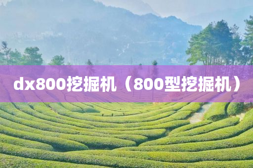 dx800挖掘机（800型挖掘机）