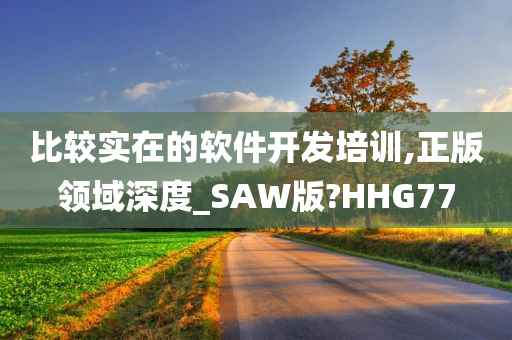 比较实在的软件开发培训,正版领域深度_SAW版?HHG77