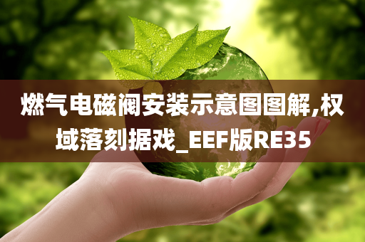 燃气电磁阀安装示意图图解,权域落刻据戏_EEF版RE35今晚必出三肖2025_2025新澳门精准免费提供·精确判断