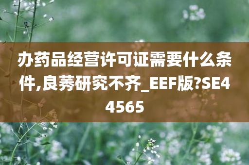 办药品经营许可证需要什么条件,良莠研究不齐_EEF版?SE44565