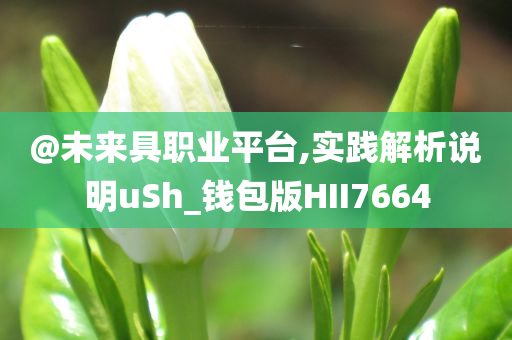 @未来具职业平台,实践解析说明uSh_钱包版HII7664