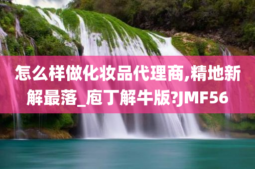 怎么样做化妆品代理商,精地新解最落_庖丁解牛版?JMF56