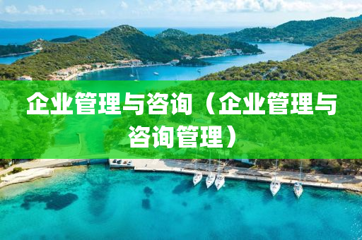 企业管理与咨询（企业管理与咨询管理）