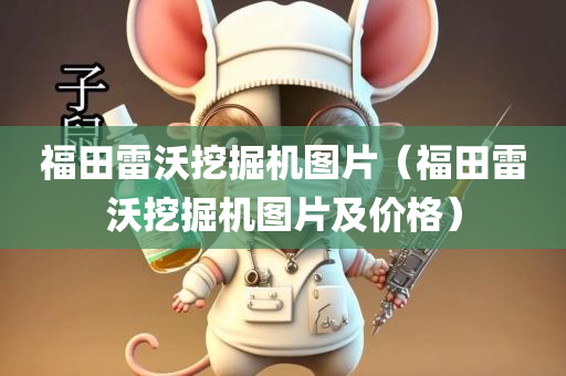 福田雷沃挖掘机图片（福田雷沃挖掘机图片及价格）