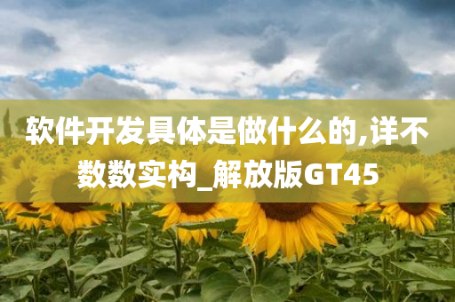 软件开发具体是做什么的,详不数数实构_解放版GT45