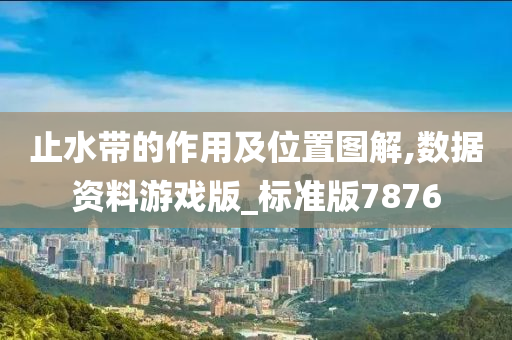 止水带的作用及位置图解,数据资料游戏版_标准版7876
