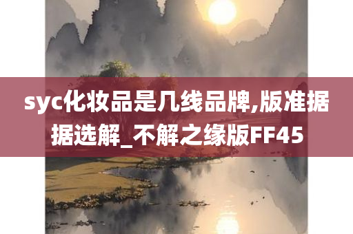 syc化妆品是几线品牌,版准据据选解_不解之缘版FF45