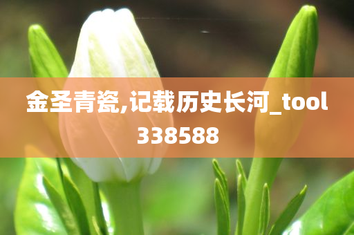 金圣青瓷,记载历史长河_tool338588