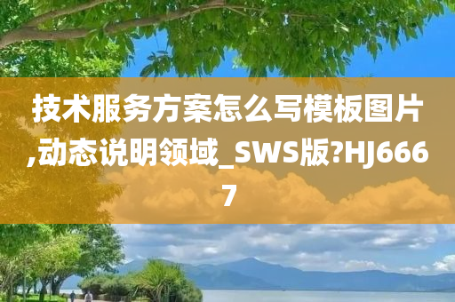 技术服务方案怎么写模板图片,动态说明领域_SWS版?HJ6667
