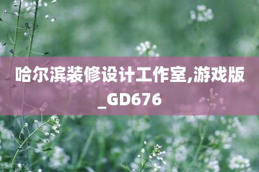 哈尔滨装修设计工作室,游戏版_GD676