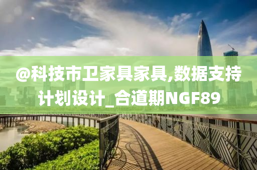@科技市卫家具家具,数据支持计划设计_合道期NGF89