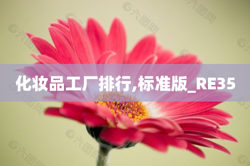 化妆品工厂排行,标准版_RE35