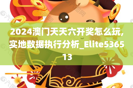 2024澳门天天六开奖怎么玩,实地数据执行分析_Elite536513