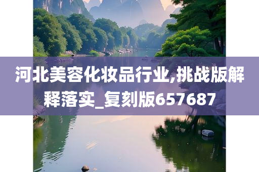 河北美容化妆品行业,挑战版解释落实_复刻版657687