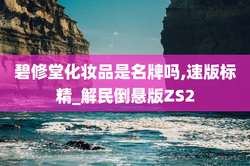 碧修堂化妆品是名牌吗,速版标精_解民倒悬版ZS2