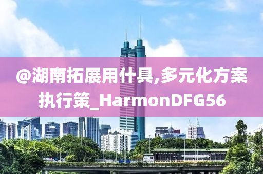 多元化方案