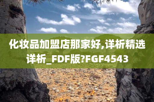 化妆品加盟店那家好,详析精选详析_FDF版?FGF4543
