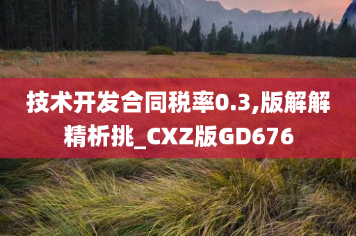 版解精析 第3页