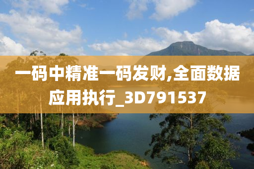 一码中精准一码发财,全面数据应用执行_3D791537