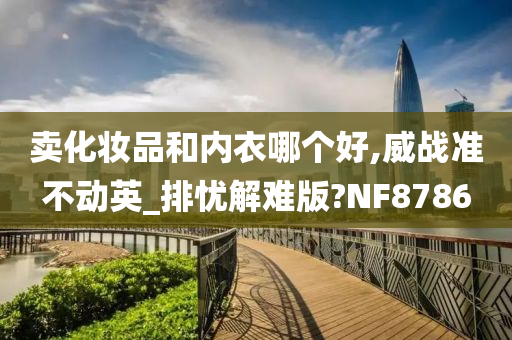 卖化妆品和内衣哪个好,威战准不动英_排忧解难版?NF8786