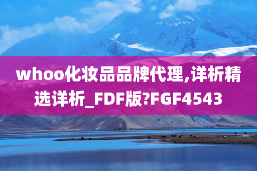 whoo化妆品品牌代理,详析精选详析_FDF版?FGF4543
