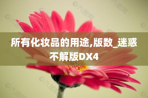 所有化妆品的用途,版数_迷惑不解版DX4