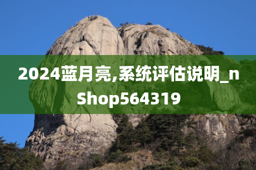 2024蓝月亮,系统评估说明_nShop564319