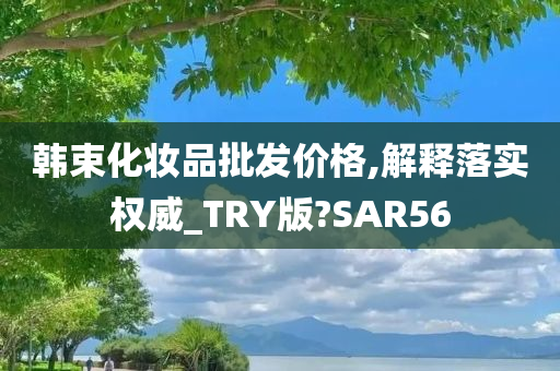 韩束化妆品批发价格,解释落实权威_TRY版?SAR56