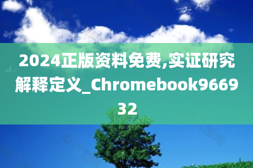 2024正版资料免费,实证研究解释定义_Chromebook966932