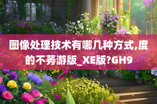 图像处理技术有哪几种方式,度的不莠游版_XE版?GH9