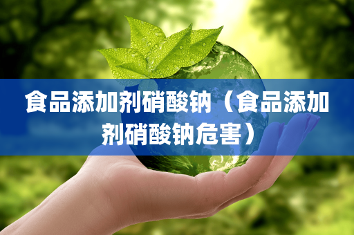 食品添加剂硝酸钠（食品添加剂硝酸钠危害）