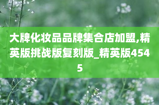 大牌化妆品品牌集合店加盟,精英版挑战版复刻版_精英版4545