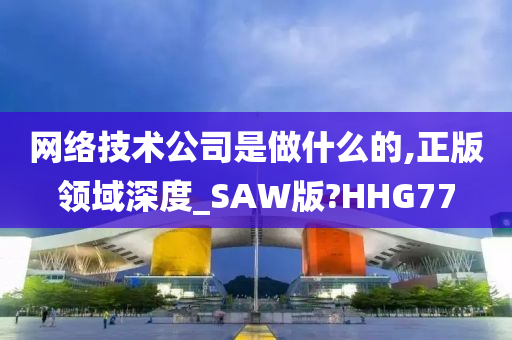 网络技术公司是做什么的,正版领域深度_SAW版?HHG77