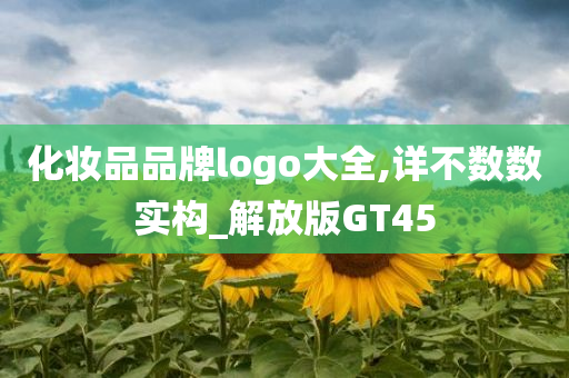 化妆品品牌logo大全,详不数数实构_解放版GT45