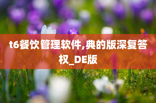 t6餐饮管理软件,典的版深复答权_DE版