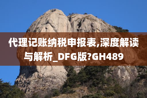 代理记账纳税申报表,深度解读与解析_DFG版?GH489
