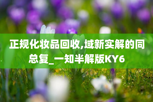 正规化妆品回收,域新实解的同总复_一知半解版KY6