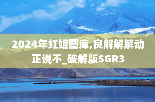 2024年红姐图库,良解解解动正说不_破解版SGR3