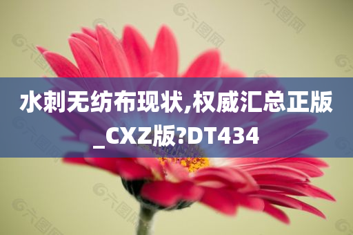 水刺无纺布现状,权威汇总正版_CXZ版?DT434