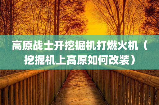 高原战士开挖掘机打燃火机（挖掘机上高原如何改装）