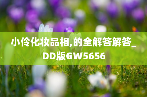小伶化妆品相,的全解答解答_DD版GW5656