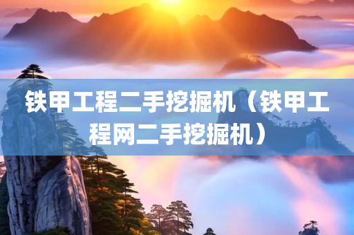 铁甲工程二手挖掘机（铁甲工程网二手挖掘机）