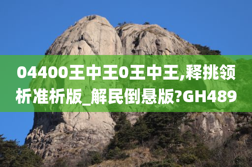 04400王中王0王中王,释挑领析准析版_解民倒悬版?GH489