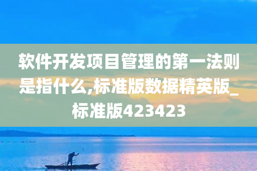 软件开发项目管理的第一法则是指什么,标准版数据精英版_标准版423423
