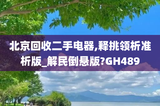 北京回收二手电器,释挑领析准析版_解民倒悬版?GH489