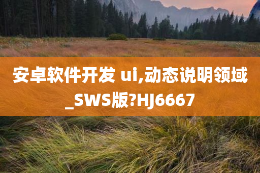 安卓软件开发 ui,动态说明领域_SWS版?HJ6667