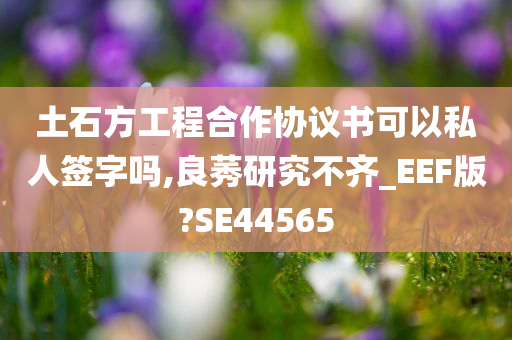 土石方工程合作协议书可以私人签字吗,良莠研究不齐_EEF版?SE44565